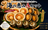 海の恵みAセット （ さざえ ・ あわび ・ 殻付きホタテ ） 冷凍 海鮮 魚介 貝 活さざえ 活あわび ほたて 詰め合わせ つぼ焼き ステーキ 酒蒸し バター焼き 北海道産 殻付きホタテ貝 バーベキュー アウトドア 下関 山口 《さわ水産：SW》