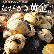 BH048 じゃがいも 希少品種 ながさき黄金 S～2Lサイズ混合 約5kg [ 野菜 芋 ジャガイモ 5キロ ほくほく 先行予約 常備野菜 サイズ混同 国産 贅沢宝庫 長崎県 島原市 ]