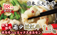 【一週間以内発送】数量限定 希少近江牛ホルモン＆ミックスホルモン 合計1.9kg【FO05W】