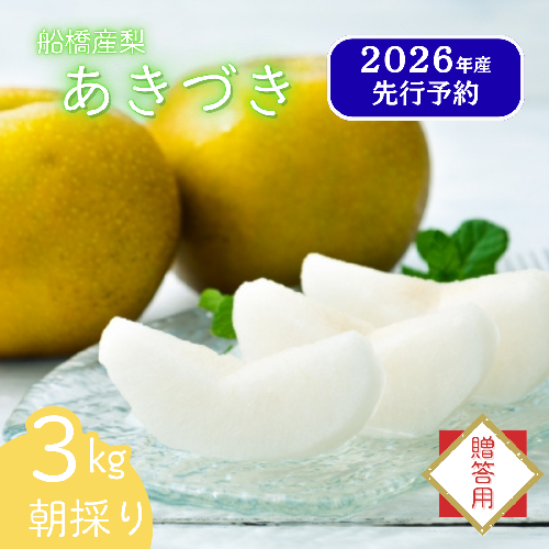 【2026年産先行予約】＜贈答用＞果汁たっぷりの極上梨「あきづき・3kg」6～9玉 千葉県 船橋市産 2720694 - 千葉県船橋市