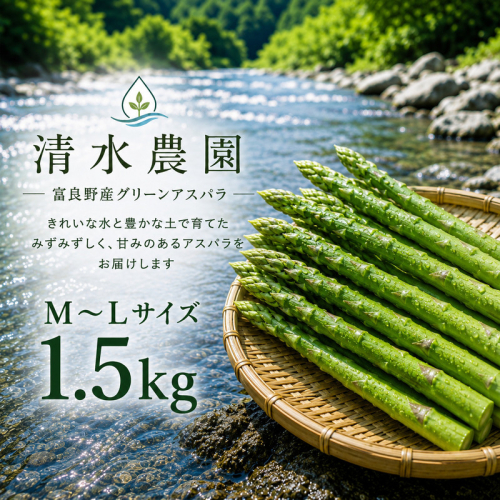 【2027年発送】ふらの産 採れたて グリーンアスパラ(M～Lサイズ混合)約1.5kg [清水農園] アスパラ アスパラガス 野菜 新鮮 甘い 北海道 富良野 2720742 - 北海道富良野市