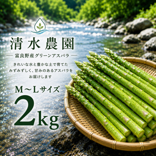 【2027年発送】ふらの産 採れたて グリーンアスパラ(M～Lサイズ混合)約2kg [清水農園] アスパラ アスパラガス 野菜 新鮮 甘い 北海道 富良野 2720743 - 北海道富良野市