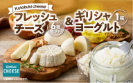 1128 フレッシュチーズ6種/ギリシャヨーグルトセット【2月出荷】　KN087-002-02