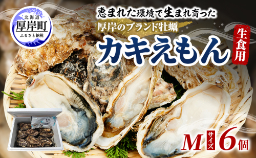 牡蠣 厚岸のブランド牡蠣 生食用 カキえもん Mサイズ 6個  [ 魚貝類 海鮮 海のミルク 国産 生食用殻付き牡蠣 まろやか クリーミー 食べやすい品種 海の香り 牡蠣の酒蒸し 焼き牡蠣  ] 2720792 - 北海道厚岸町