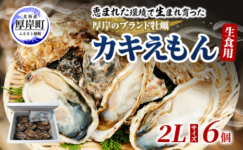 牡蠣 厚岸のブランド牡蠣 生食用 カキえもん 2Lサイズ 6個  [ 魚貝類 海鮮 海のミルク 国産 生食用殻付き牡蠣 まろやか クリーミー 食べやすい品種 海の香り 牡蠣の酒蒸し 焼き牡蠣  ] 2720810 - 北海道厚岸町