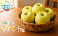 先行予約 【クール便で美味しさキープ】 米崎りんご 品種：きおう 3kg 残暑にお勧め！ ジューシー＆サッパリ 【 りんご 数量限定 訳あり 家庭用 果物 フルーツ 】 RT3396-03