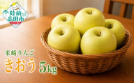 先行予約 【クール便で美味しさキープ】 米崎りんご 品種：きおう 5kg 残暑にお勧め！ ジューシー＆サッパリ 【 りんご 数量限定 訳あり 家庭用 果物 フルーツ 】 RT3396-05
