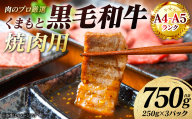 【A4～A5ランク】 くまもと黒毛和牛 焼肉用 750g （250g×3パック） 和牛 牛肉 お肉 黒毛和牛 冷凍 焼肉 BBQ おかず ギフト 熊本県 八代市