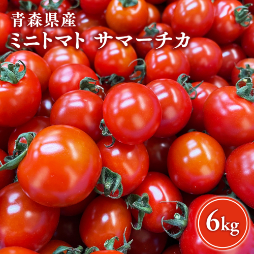 サマーチカ 6kg ミニトマト プチトマト 薄皮 フルーティー 新鮮野菜【hi-0070-003】 2721245 - 青森県平川市