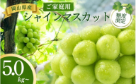 岡山県産シャインマスカット ご家庭用 5kg~ 【2026年先行予約】 糖度測定 / ぶどう 岡山  真庭市 シャインマスカット 果物 人気 産地直送 国産 数量限定【bfyd002-01】