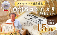 【令和8年産先行予約】【6ヶ月定期便】魚沼産コシヒカリ 15kg(5kg×3袋) 特別栽培米 ダイヤモンド褒賞受賞 |  新潟産コシヒカリ 新潟県産コシヒカリ 魚沼産こしひかり 米 お米 こしひかり 白米 精米 ブランド米 最高級 新潟県 津南町