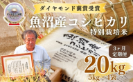 【令和8年産先行予約】【3ヶ月定期便】魚沼産コシヒカリ 20kg(5kg×4袋) 特別栽培米 ダイヤモンド褒賞受賞 |  新潟産コシヒカリ 新潟県産コシヒカリ 魚沼産こしひかり 米 お米 こしひかり 白米 精米 ブランド米 最高級 新潟県 津南町