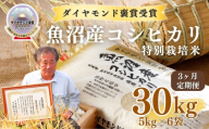 【令和8年産先行予約】【3ヶ月定期便】魚沼産コシヒカリ 30kg(5kg×6袋) 特別栽培米 ダイヤモンド褒賞受賞 |  新潟産コシヒカリ 新潟県産コシヒカリ 魚沼産こしひかり 米 お米 こしひかり 白米 精米 ブランド米 最高級 新潟県 津南町