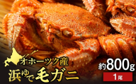 浜頓別産 ボイル毛蟹　約800g　1尾