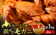 浜頓別産 ボイル毛蟹　約1kg　2尾