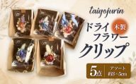 【太陽樹林】 ドライフラワークリップ 5個セット