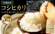 【先行予約】【令和8年産】茨城県産コシヒカリ 5kg ※2026年10月～発送 | 米 お米 おこめ コメ 白米 精米 ご飯 ごはん コシヒカリ こしひかり 茨城県 守谷市