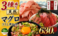 【定期便6回】マグロ づくし丼  3種盛り セット 合計630g | 清幸丸水産 ネギトロ ハラミ 切り落とし 鮪 千葉県 君津市