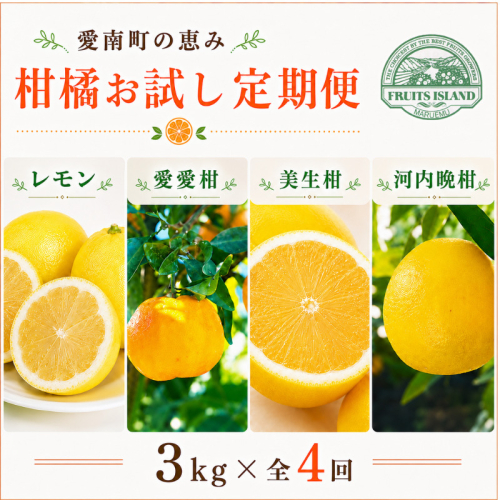 定期便 4回 4ヶ月 レモン ポンカン 美生柑 河内晩柑  柑橘 みかん 蜜柑 みしょうかん フルーツ 果物 くだもの ばんかん かんきつ ゼリー ジュース アイス マーマレード 旬 季節 限定 贈答 ギフト mikan ジューシー サラダ ピール 厳選 国産 愛媛 ご当地ブランド 愛媛県 愛南町 フルーツアイランド・マルエム直販 2721923 - 愛媛県愛南町