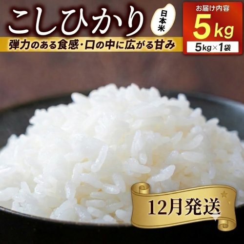 ＼先行予約・12月発送／★令和8年産★山崎観光農園のお米　コシヒカリ　白米5kg｜ 益子町 お米 コシヒカリ 白米 精米 5kg（AU044-12） 2721954 - 栃木県益子町