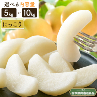 梨 にっこり梨 5kg or 10kgフルーツ 先行予約 矢畑むらづくり組合《9月下旬-10月上旬頃出荷予定》 栃木県【栃木県共通返礼品　栃木県産】【配送不可地域あり】(離島)