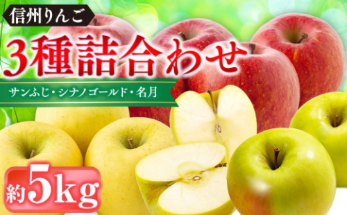 信州りんご・前島農家おすすめりんご（サンふじ・シナノゴールド・名月）約5kg（12個～16個）｜ りんご 食べ比べ 詰め合わせ 信州産 人気 おすすめ サンふじ シナノゴールド 名月 果物 フルーツ 旬 蜜入り 甘い ジューシー 長野県 長野市 信州 信濃 ふるさと納税 2721994 - 長野県長野市
