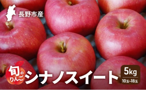 2026年発送　長野市産　旬のりんご　シナノスイート5kg　10玉～18玉 りんご リンゴ 果物 フルーツ 秋 2722008 - 長野県長野市