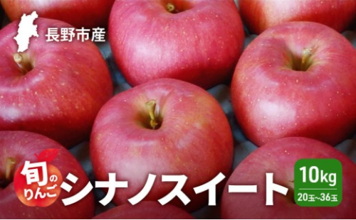 2026年発送　長野市産　旬のりんご　シナノスイート10kg　20玉～36玉 りんご リンゴ 果物 フルーツ 秋 2722009 - 長野県長野市