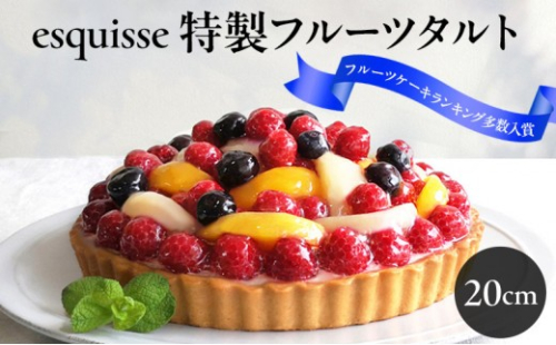 フルーツたっぷりの特製フルーツタルト【20cm】 |  フルーツ タルト 特製 スイーツ 洋菓子 人気 おすすめ ケーキ デザート  送料無料  長野県 長野市 信州 信濃 ふるさと納税 2722045 - 長野県長野市