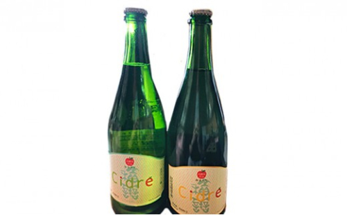 積善（せきぜん） Cidre 飲み比べセット （あまくち，からくち） りんご 発泡酒 750ml×2本 酒 シードル 洋酒 お酒 アップル リンゴ 林檎 | お酒 飲み比べ セット 甘口 辛口 りんご 人気 おすすめ ギフト プレゼント 送料無料 長野県 長野市 信州 信濃 ふるさと納税 2722049 - 長野県長野市