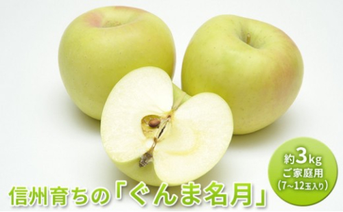 長野市産 ぐんま名月 ご家庭用 約3kg（7～12玉入り）【2026年11月上旬以降出荷予定】 |  りんご ぐんま名月 希少 家庭用 人気 おすすめ 林檎 リンゴ フルーツ 果物 黄色 香り 数量限定 長野県 長野市 信州 信濃 ふるさと納税 2722051 - 長野県長野市