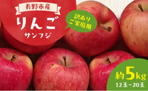 ＜ 訳あり ご家庭用 ＞2026年長野市産 サンふじ 規格外 訳あり 約5kg |  りんご サンふじ 訳あり 規格外 人気 おすすめ 林檎 リンゴ フルーツ 果物 家庭用 応援 長野県 長野市 信州 信濃 ふるさと納税 2722052 - 長野県長野市