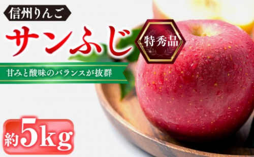 信州りんご・サンふじ（特秀品）約5kg（12個～18個） 2722055 - 長野県長野市