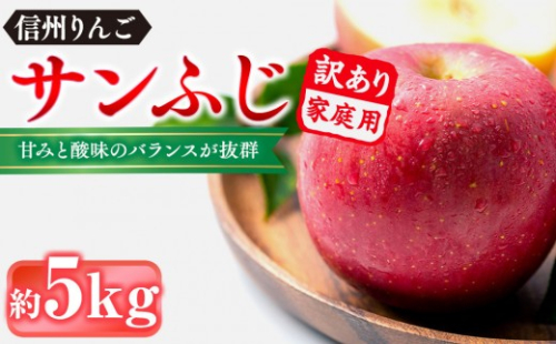 信州りんご・サンふじ（家庭用）約5kg（12個～18個） 2722056 - 長野県長野市