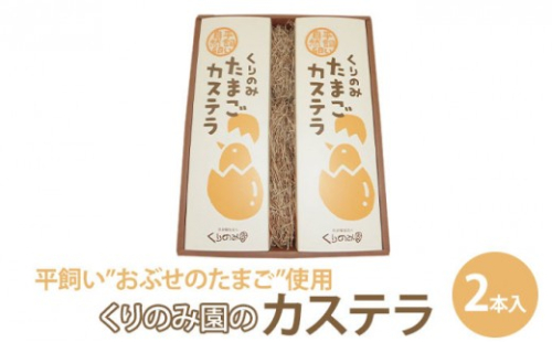 くりのみ園のたまごカステラ(2本入) |  カステラ たまごカステラ たまご スイーツ お菓子 人気 おすすめ ギフト  送料無料  長野県 長野市 信州 信濃 ふるさと納税 2722057 - 長野県長野市