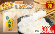 【新米　先行予約】令和8年産すっごいもちもち　「しきゆたか」　白米【30kg×1袋】【C073W】