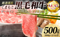 【A4～A5ランク】 【厳選部位】 くまもと黒毛和牛 サーロイン しゃぶしゃぶ すき焼き用 500g （500g×1パック） 和牛 牛肉 お肉 黒毛和牛 鍋 冷凍 おかず 熊本県 八代市