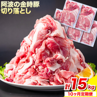 ＜ブランド豚＞ 定期便 阿波の金時豚 大容量1.5kg ×10ヶ月定期便 切り落とし アグリガーデン 《お申込み月の翌月から出荷開始》豚肉 ブランド豚 肉 小分けパック 送料無料 徳島県 上板町 st-p
