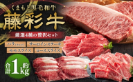 くまもと黒毛和牛 [ 藤彩牛 ] 厳選4種の贅沢セット ( サーロインステーキ ・ バラ焼肉用 ・ ローススライス ・ モモスライス ) 計約1000g お肉 肉 ニク にく 牛肉 牛 バラ バラ肉 カルビ 焼肉 ロース モモ モモ肉 スライス サーロイン ステーキ 黒毛和牛 国産 熊本県産 セット 詰め合わせ 食べ比べ