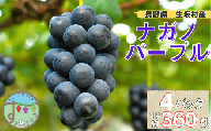 ナガノパープル　4パック（360g×4パック)