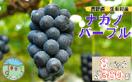 ナガノパープル　8パック（360g×4パック×2箱)