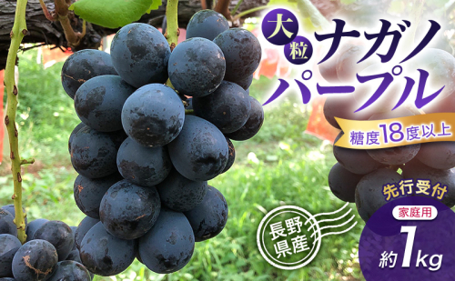 【先行予約】【家庭用・訳あり】長野県産 ナガノパープル 約1kg 粒あり・粒なしセット 大粒 甘いぶどう 糖度18度以上 果物 フルーツ 長野県 上田 信州  2723013 - 長野県上田市
