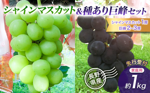 【先行予約】【訳あり・食べ比べ】長野県産 シャインマスカット＆種あり巨峰セット 約1kg（シャインマスカット1房・巨峰2～3房）家庭用 味は問題なし 季節のフルーツ 果物 信州産 2723016 - 長野県上田市