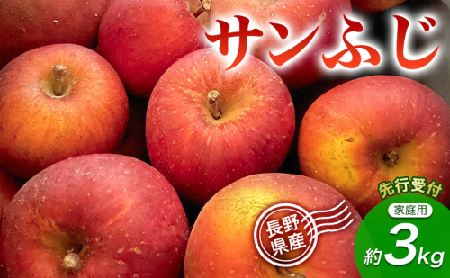 【先行予約】【訳あり・家庭用】長野県産 サンふじ 約3kg りんご リンゴ 不揃い 味は問題なし 家庭用 季節のフルーツ 果物 長野県 信州 2723017 - 長野県上田市