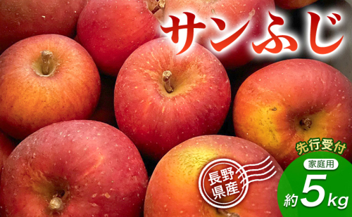【先行予約】【訳あり・家庭用】長野県産 サンふじ 約5kg りんご リンゴ 不揃い 味は問題なし 家庭用 季節のフルーツ 果物 長野県 信州 2723018 - 長野県上田市