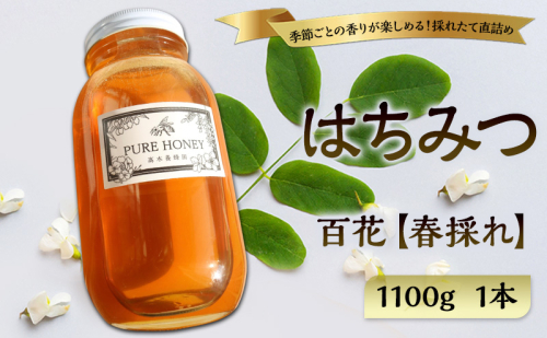 春採れ 百花はちみつ【特大】1個 国産 はちみつ 純粋 長野県 信州 上田産 春 百花 桜 花の香り 華やか まろやか 甘み 自然の恵み 季節感 高木養蜂園 2723021 - 長野県上田市