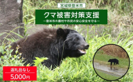 ＜返礼品なし＞宮城県登米市 クマ被害対策支援 登米市の農村や市民の安心安全を守る 選べる支援額 tm000-km03
