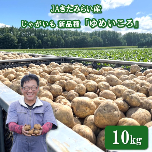 【予約：2026年9月上旬から順次発送】JAきたみらい産 じゃがいも 新品種「ゆめいころ」 10kg ( じゃがいも いも 芋 JA 北海道産 )【236-0001】 2723353 - 北海道北見市
