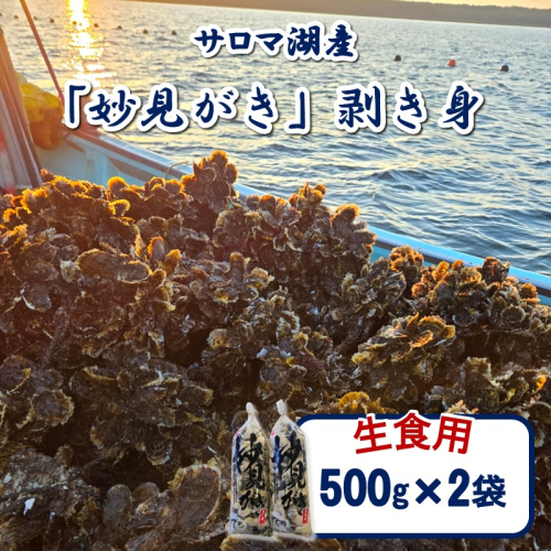 【予約：2026年11月から順次発送】サロマ湖産 生食用「妙見がき」剥き身 1kg ( サロマ湖 北見市産 牡蠣 カキ かき 生食 むき身 500g 2袋 )【156-0004】 2723357 - 北海道北見市