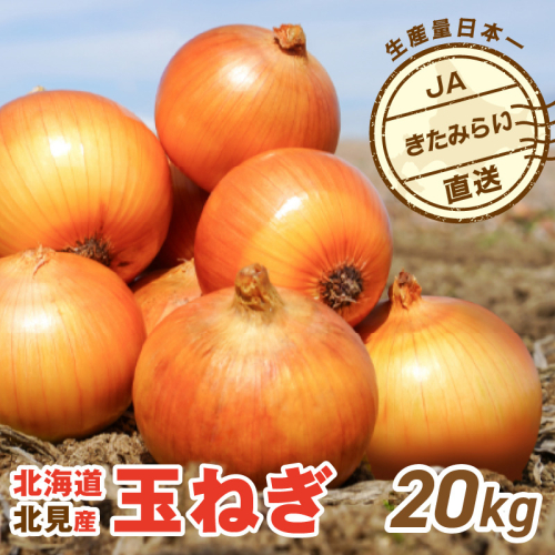 【予約：2027年4月～6月発送】JAきたみらい産 玉ねぎ Lサイズ 20kg 冷蔵 ( タマネギ たまねぎ 野菜 )【210-0006】 2723415 - 北海道北見市
